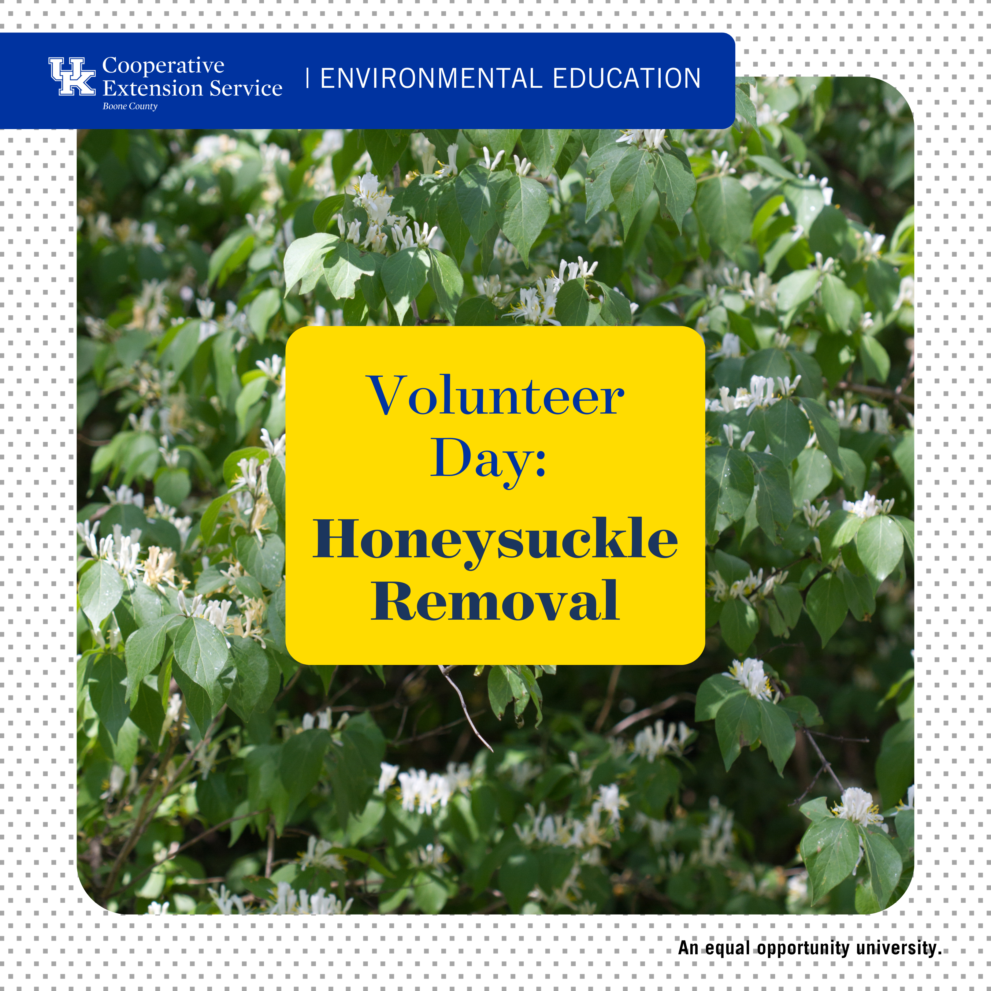 Volunteer day advertisement