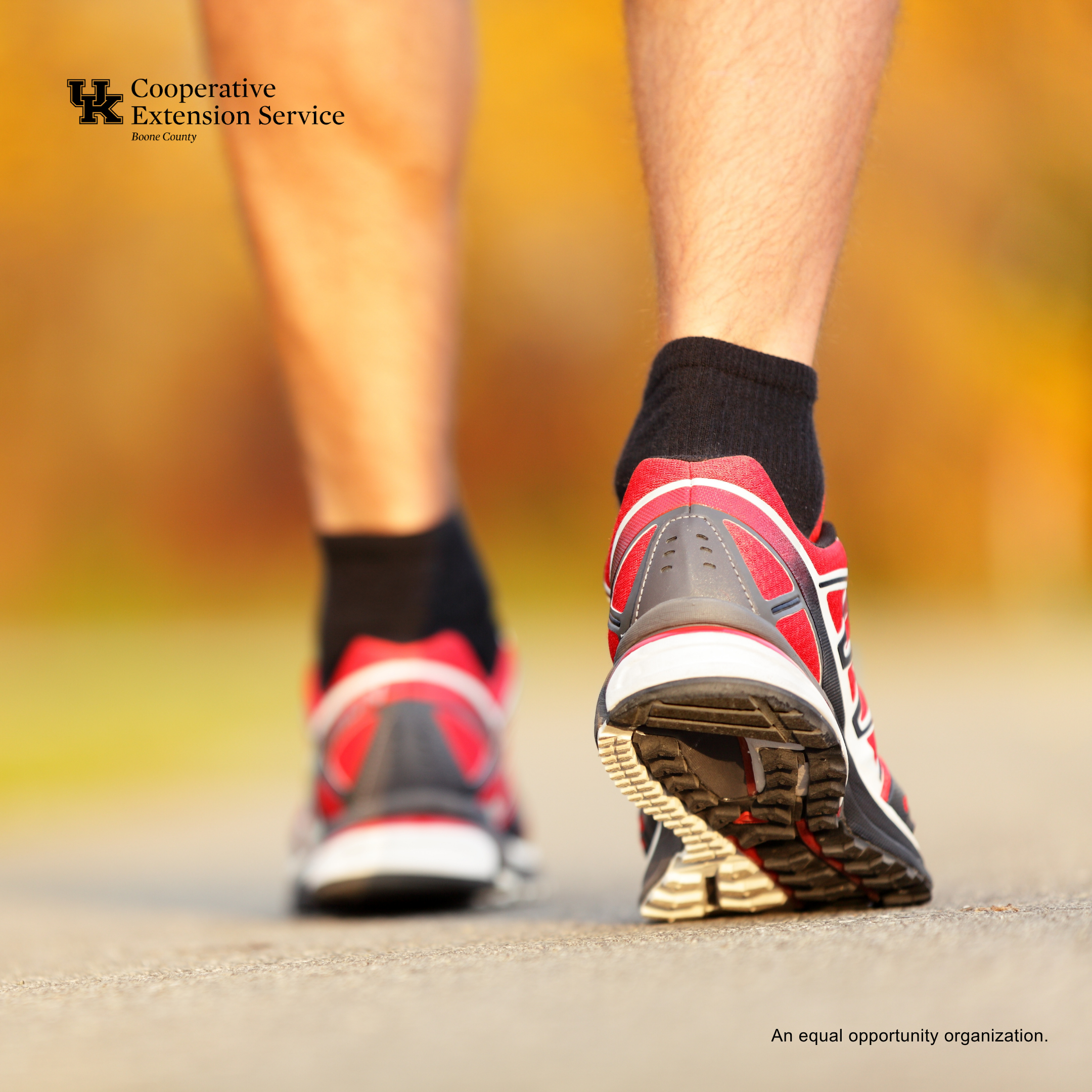 Boone County Wildcat Walkers | 12 Week Challenge