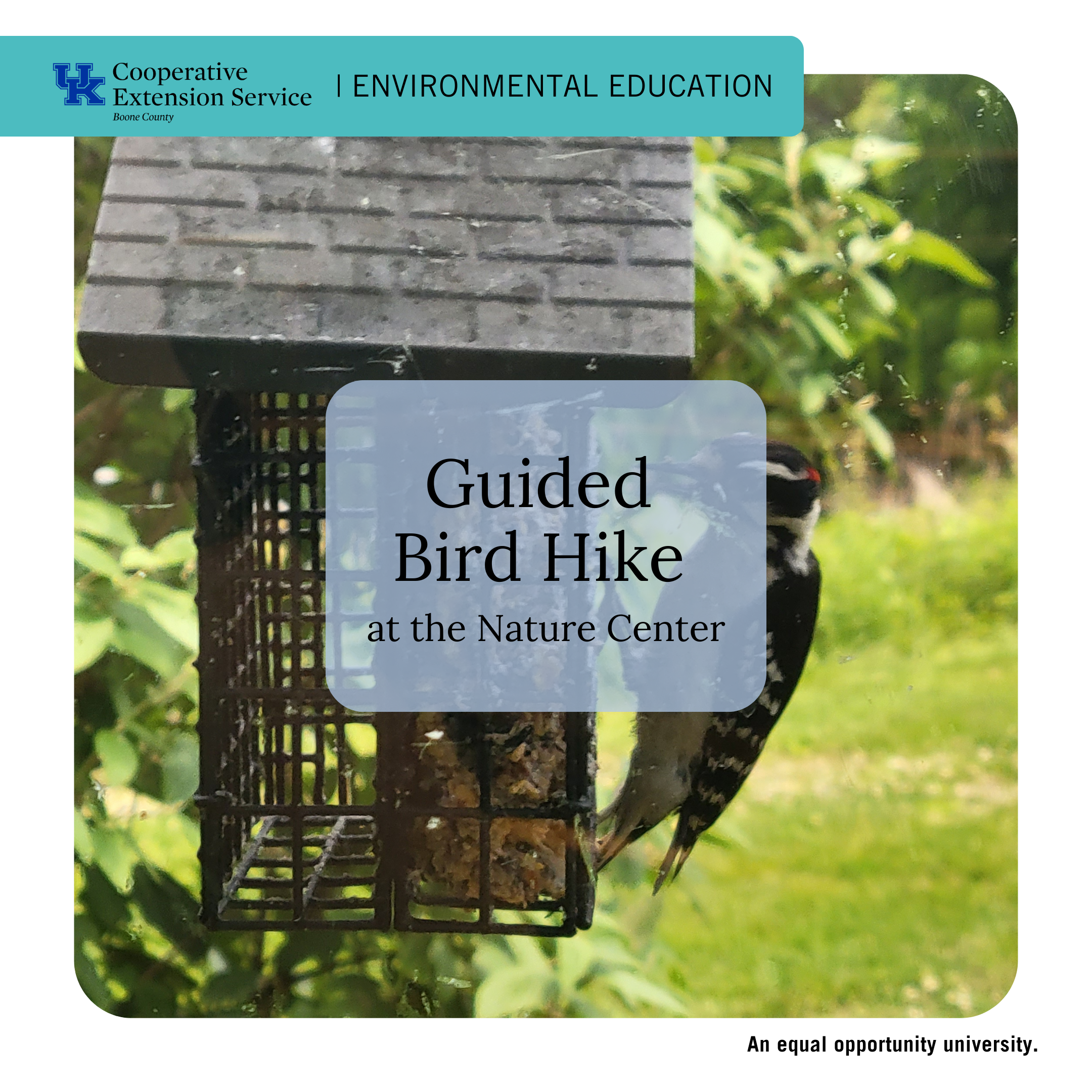 Guided Bird Hike program advertisement