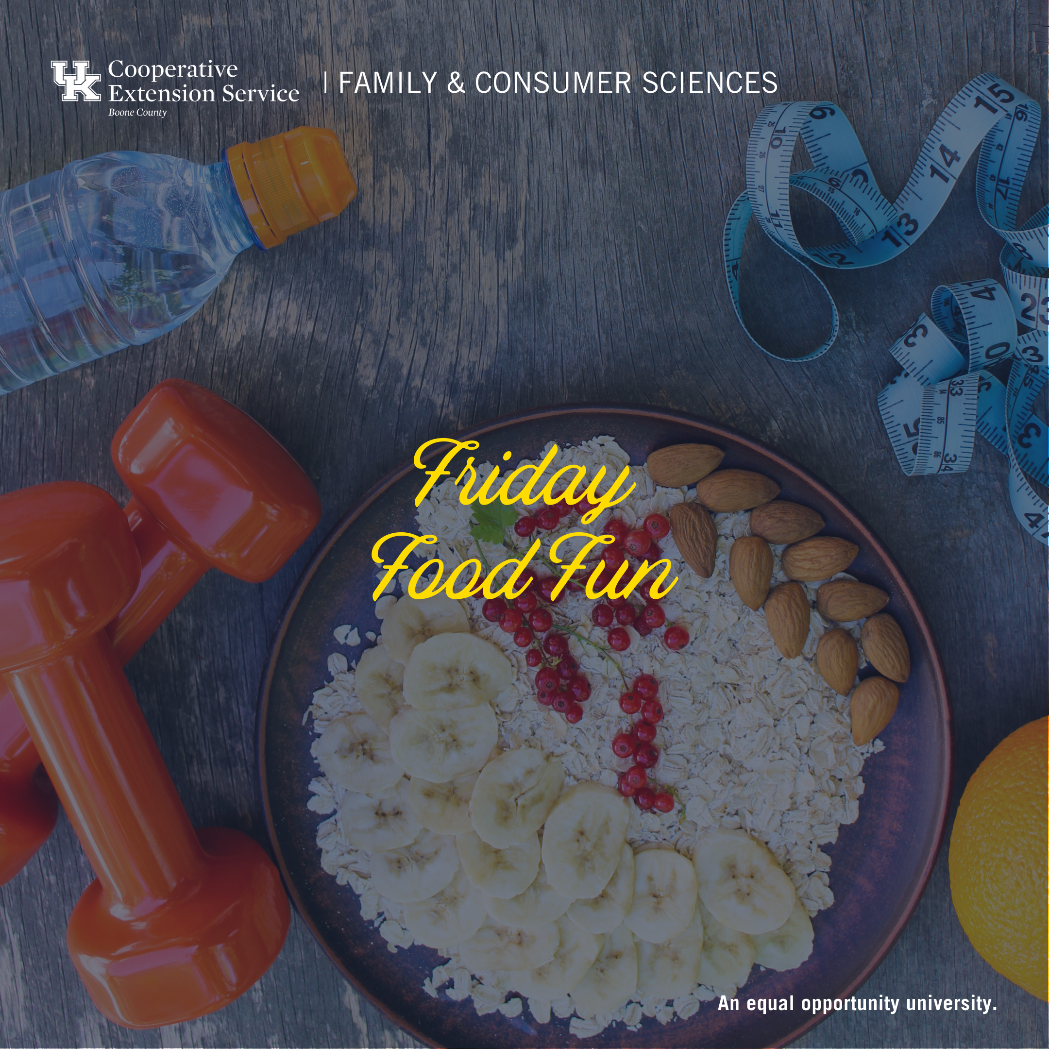 Friday Food Fun Inflammation and Lifestyle program advertisement