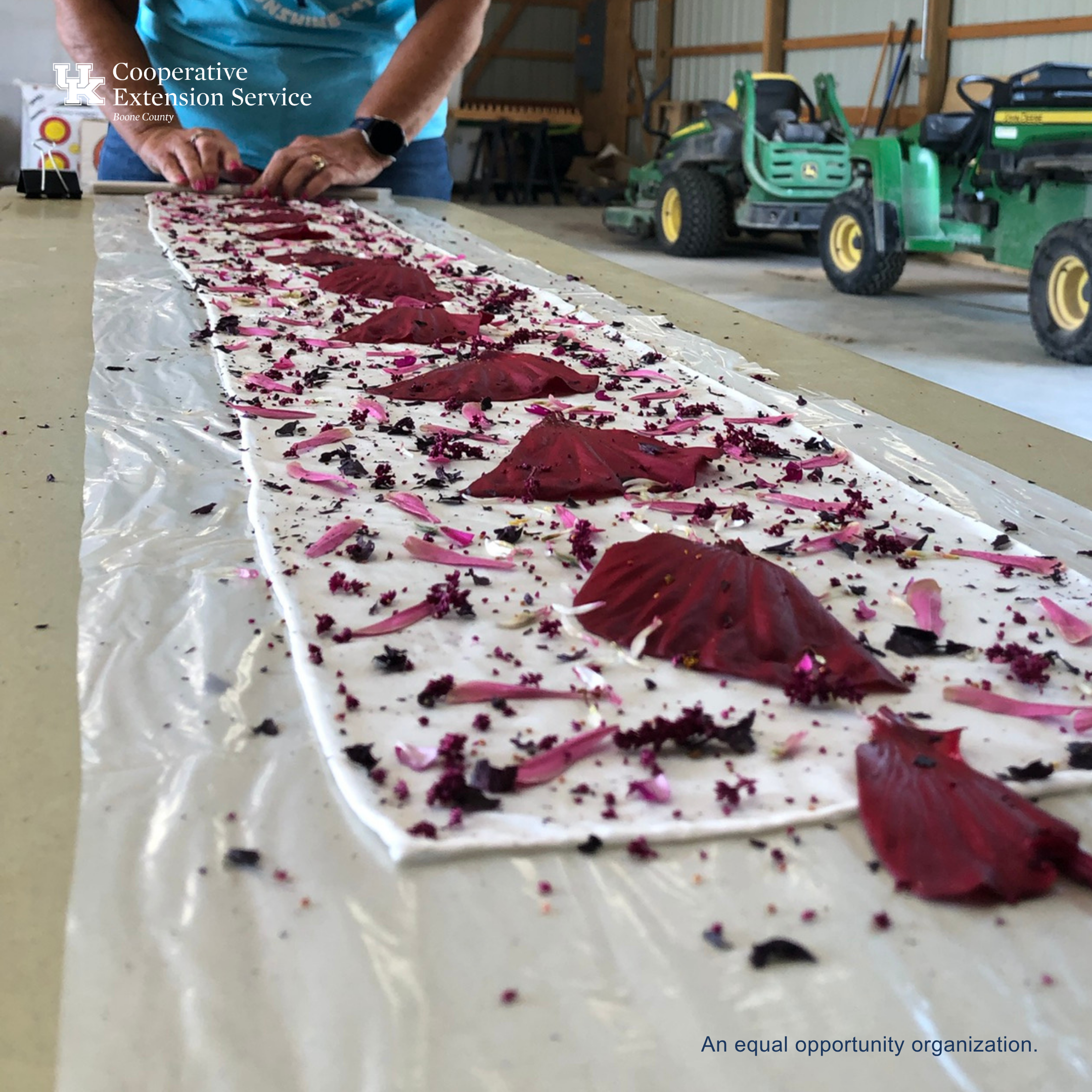 Eco-Printing