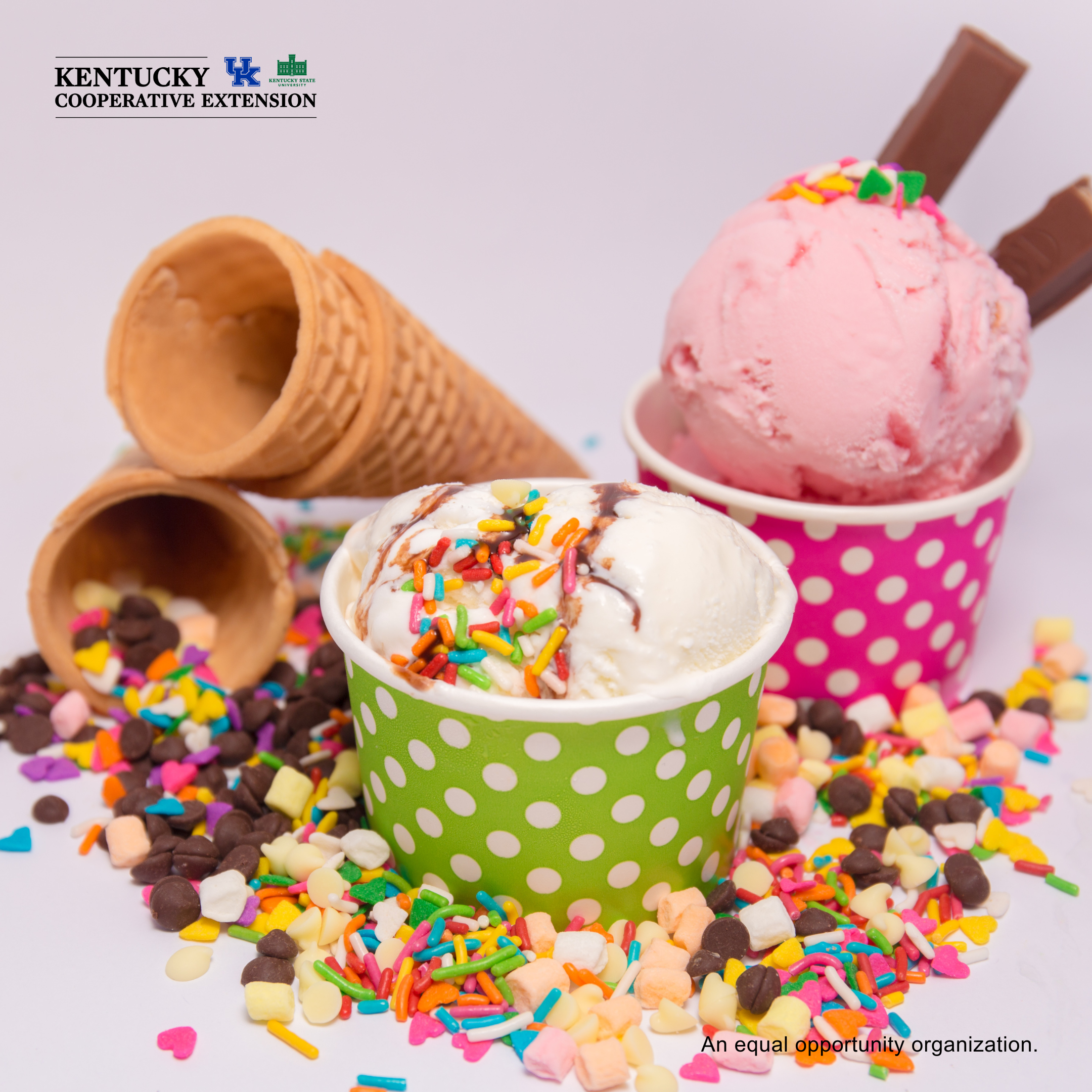 Summer Ice Cream Fun!
