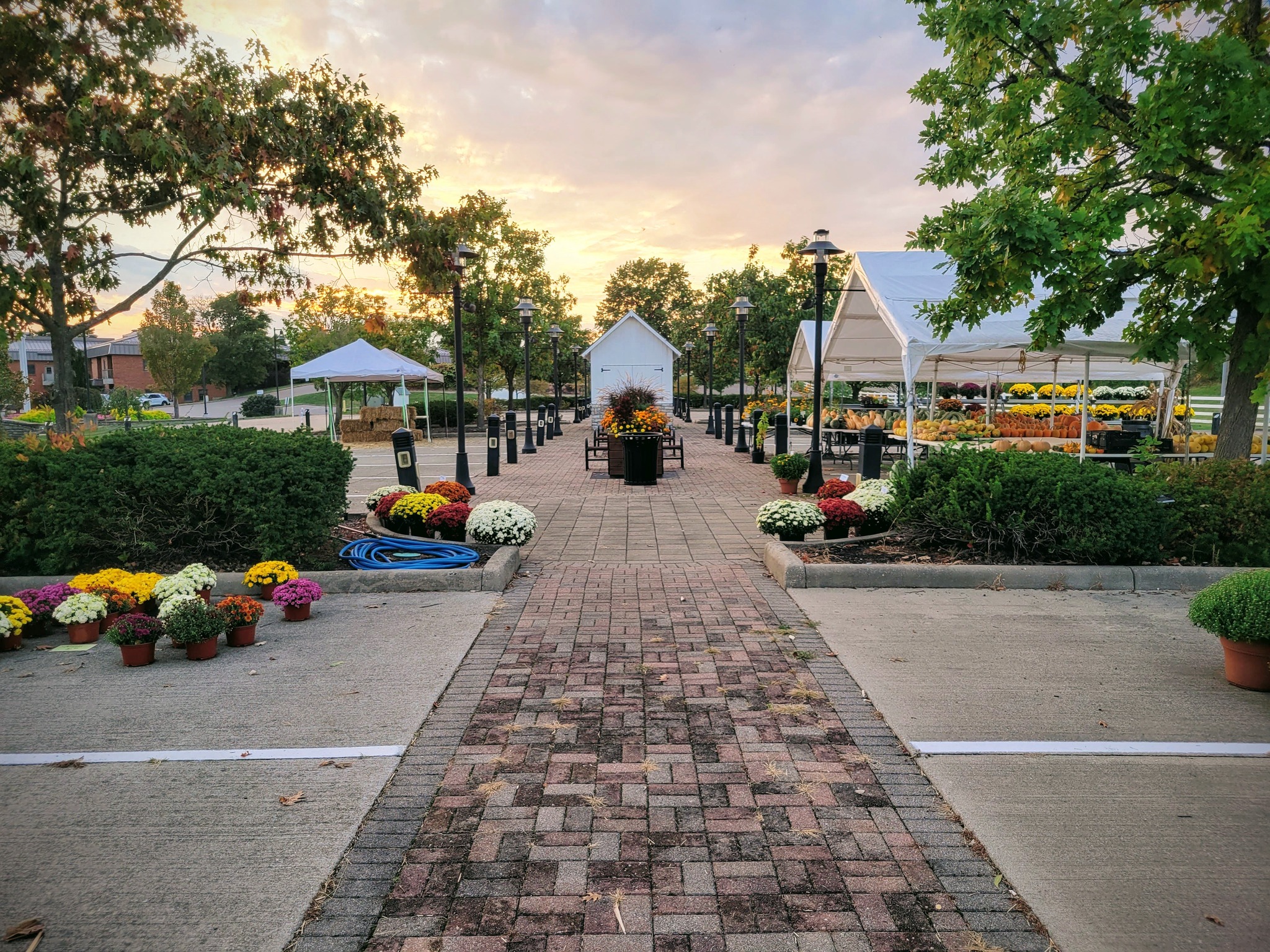 Boone County Farmers Market