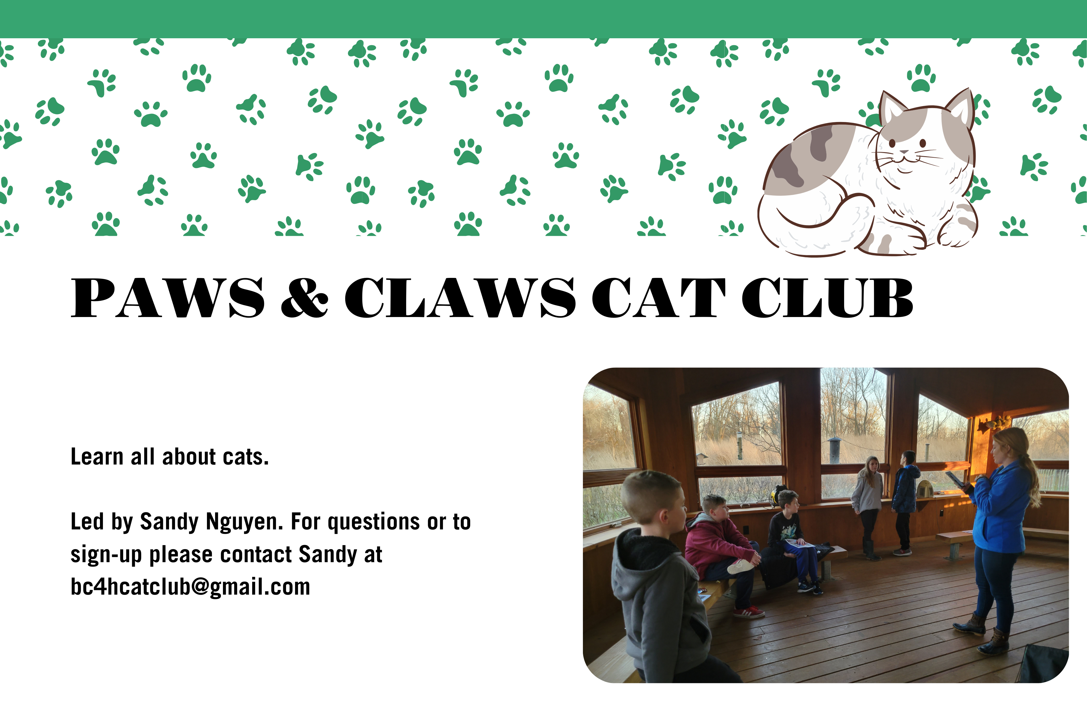 paws and claws club