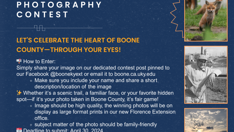 Boone County Photography Contest