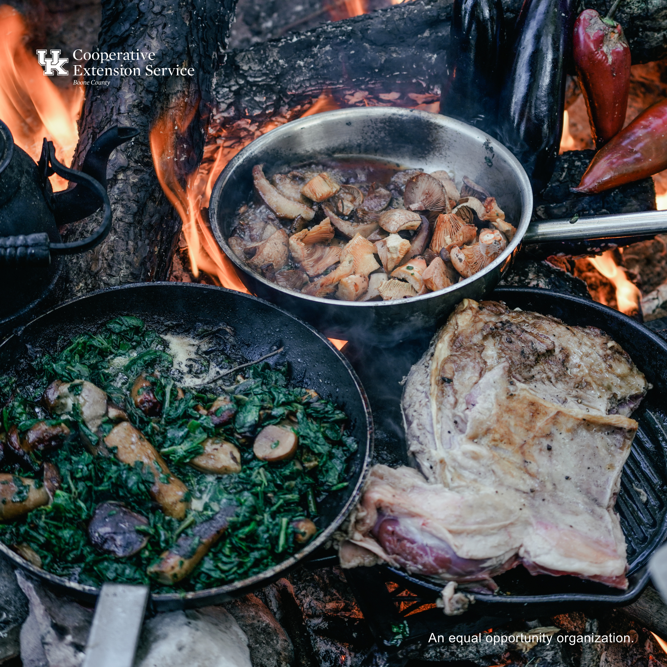 Campfire Cooking