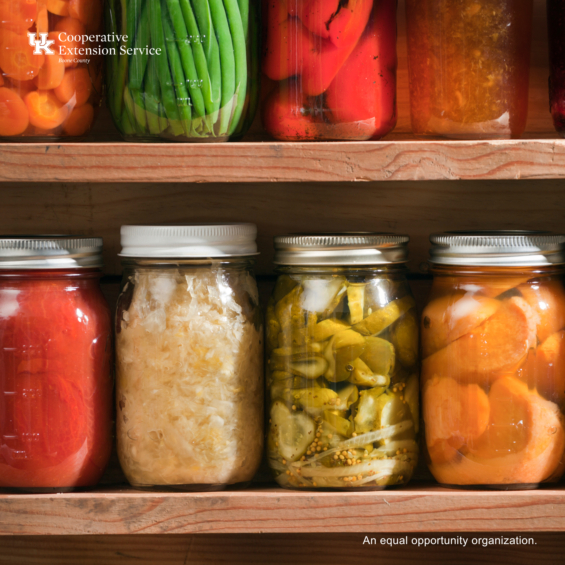 Hands-On Food Preservation for Adult Beginners - all day for water bath and pressure canning